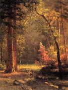Albert Bierstadt Dogwood by Albert Bierstadt oil painting reproduction